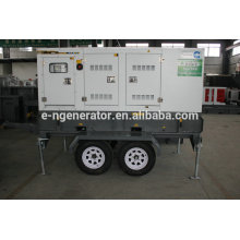 generador diesel portátil 20kw EN POWER fabricante